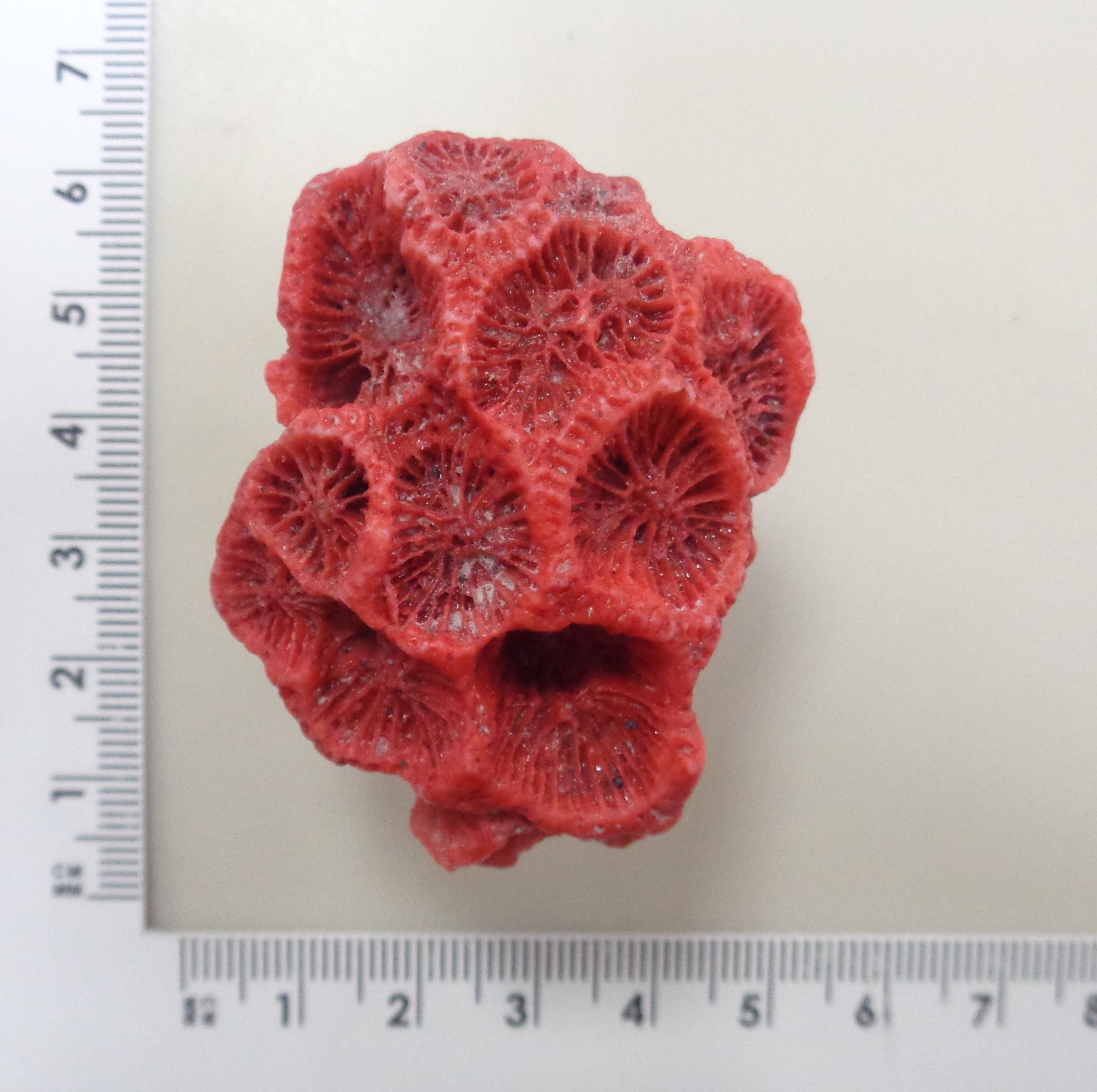 10322-004817 Кольцо (Ag 925)